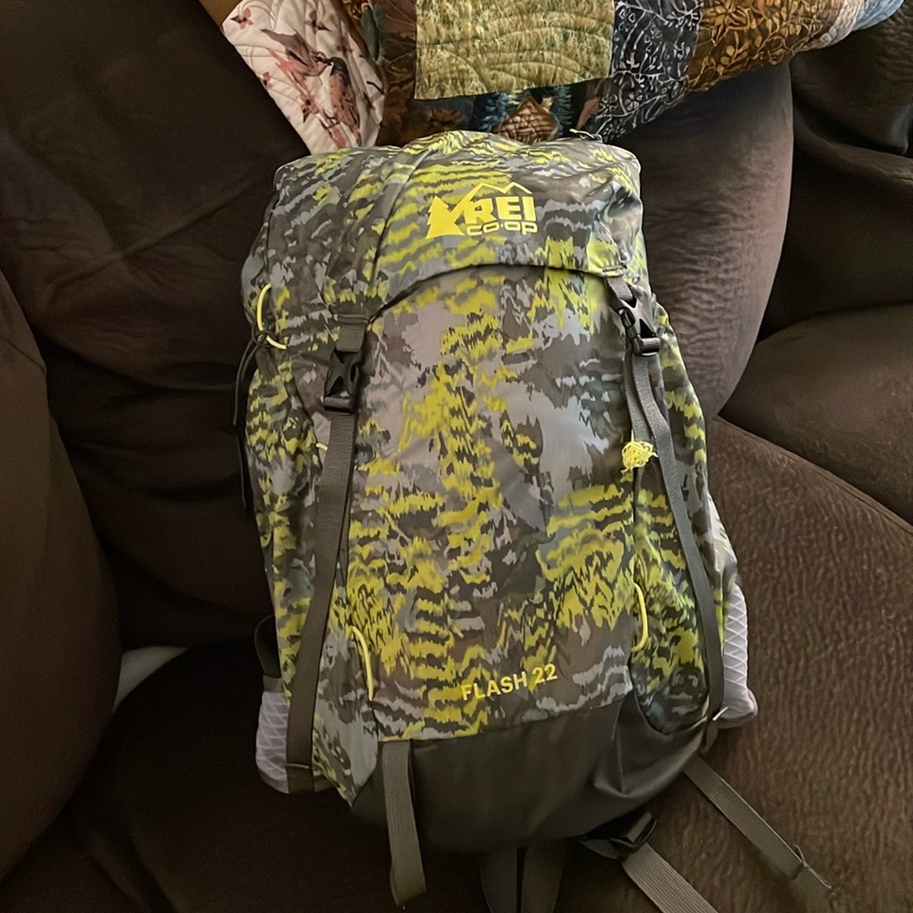 REI Flash 22 Daypack (limited edition print)